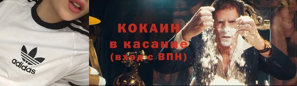 2c-b Богородицк