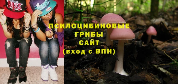 2c-b Богородицк