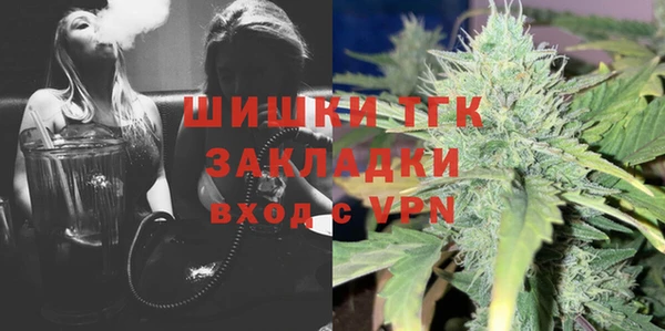 твердый Богородск